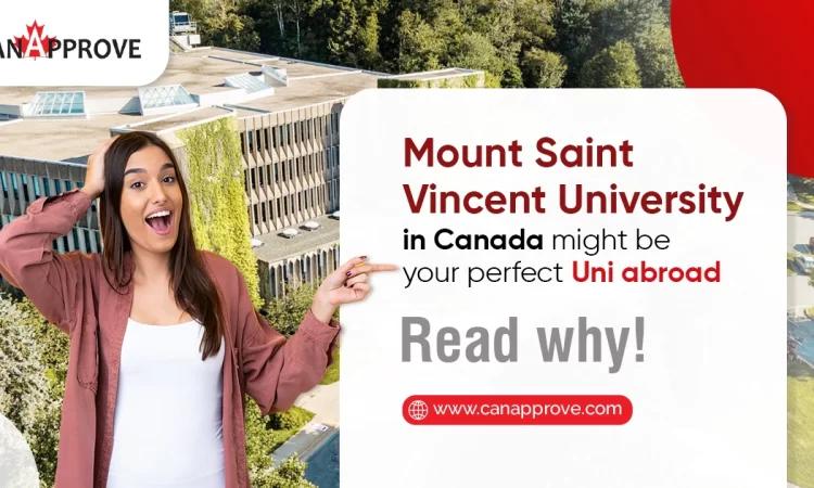 study at mount saint vincent university