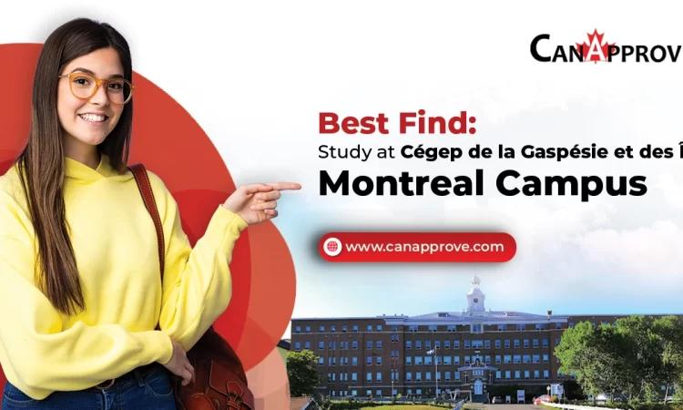 Best Find 2023: Study at Cégep de la Gaspésie et des Îles - Montreal Campus